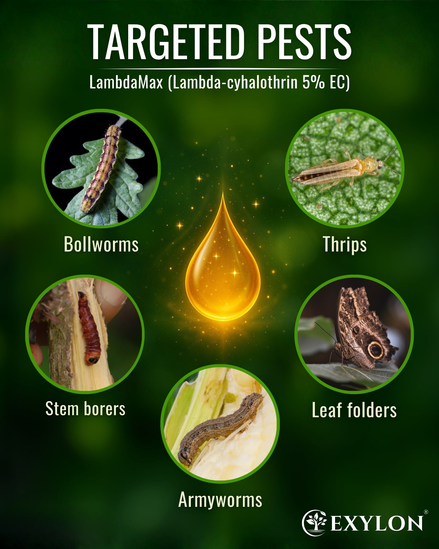 EXYLON LAMBDAMAX INSECTICIDE - Exylon Pesticides
