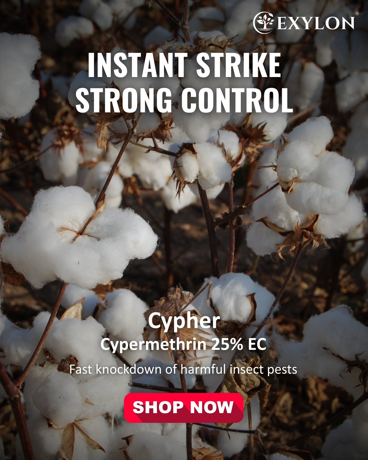 EXYLON CYPHER INSECTICIDE - Exylon Pesticides
