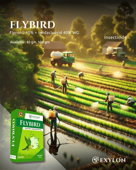 EXYLON FLYBIRD INSECTICIDE - Exylon Pesticides