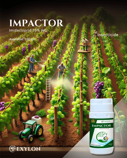 EXYLON IMPACTOR INSECTICIDE - Exylon Pesticides