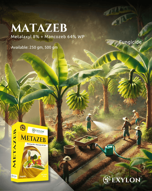 EXYLON METAZEB FUNGICIDE - Exylon Pesticides