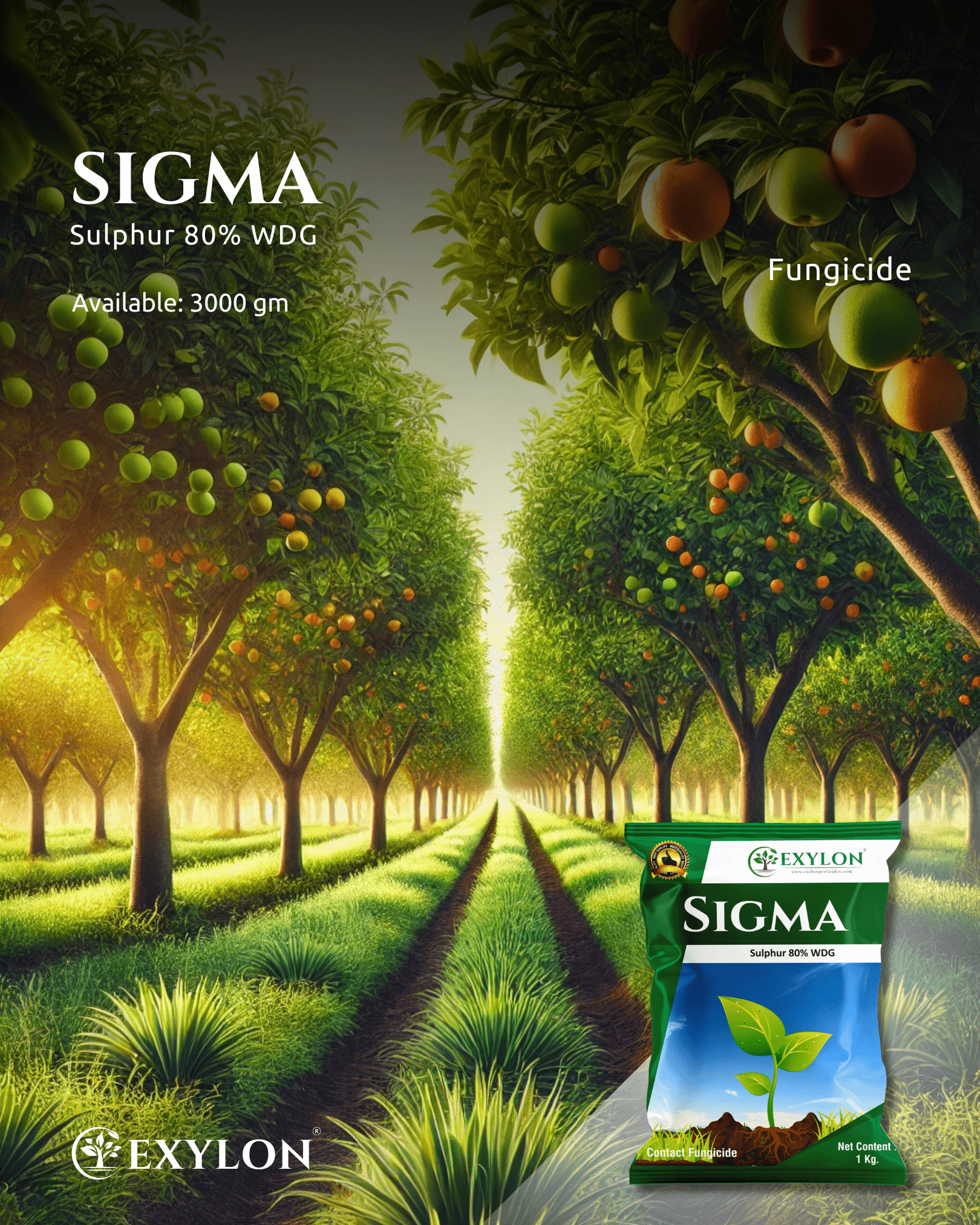EXYLON SIGMA FUNGICIDE - Exylon Pesticides