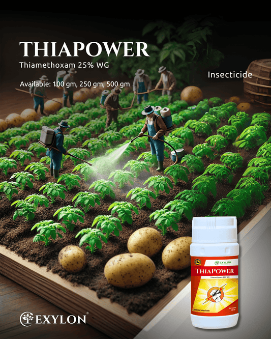 EXYLON THIAPOWER INSECTICIDE - Exylon Pesticides