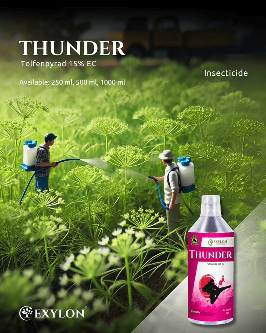 EXYLON THUNDER INSECTICIDE - Exylon Pesticides