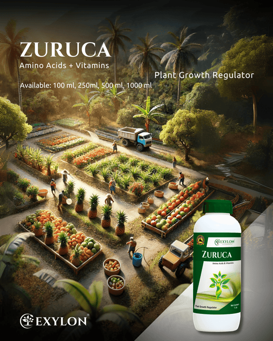 Exylon Zuruca - Exylon Pesticides