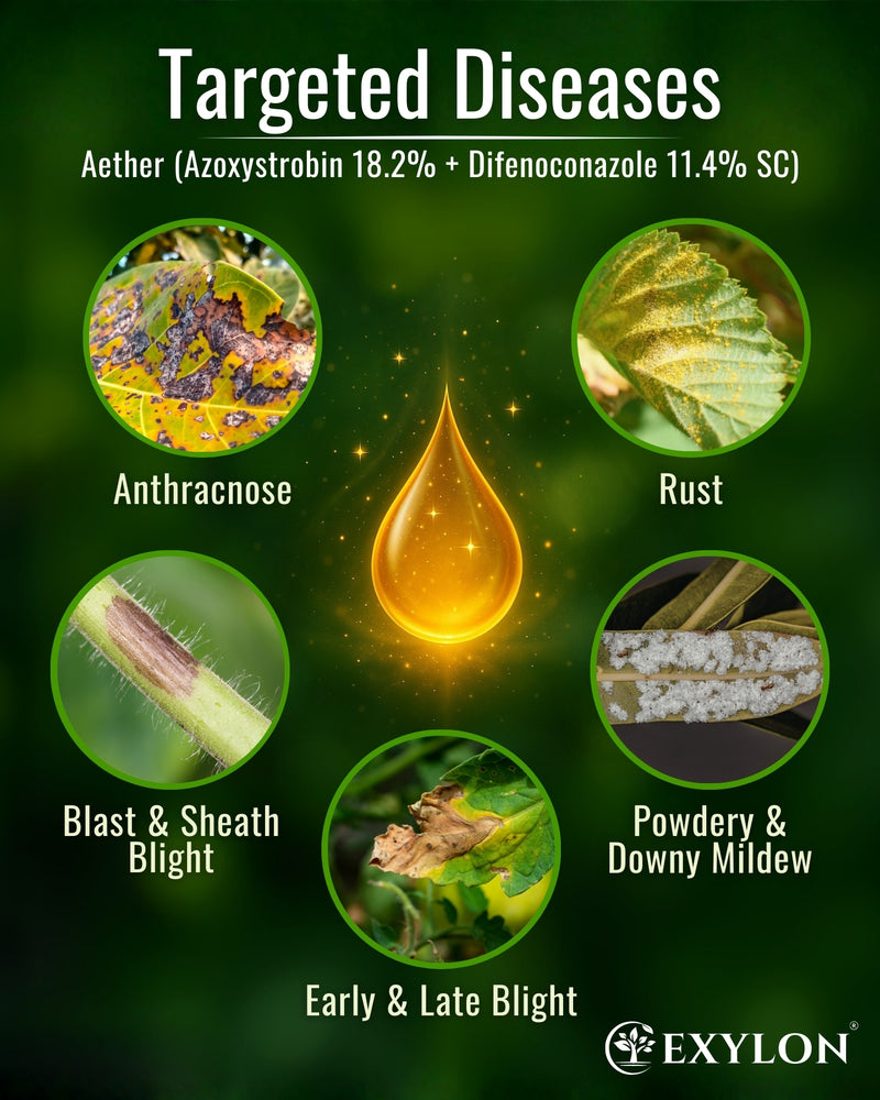 EXYLON AETHER FUNGICIDE - Exylon Pesticides