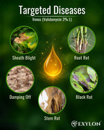 EXYLON VENUS FUNGICIDE - Exylon Pesticides