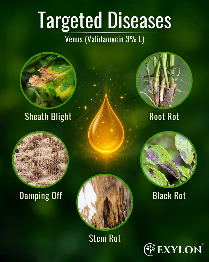 EXYLON VENUS FUNGICIDE - Exylon Pesticides