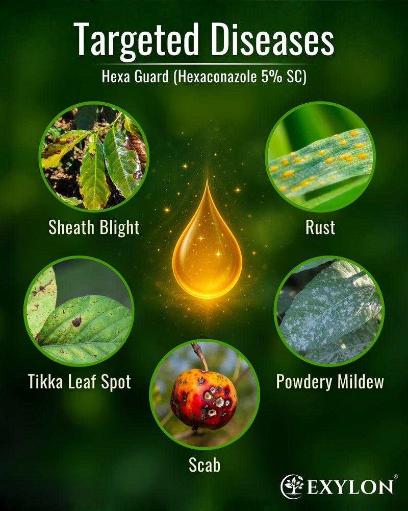 EXYLON HEXAGUARD FUNGICIDE - Exylon Pesticides