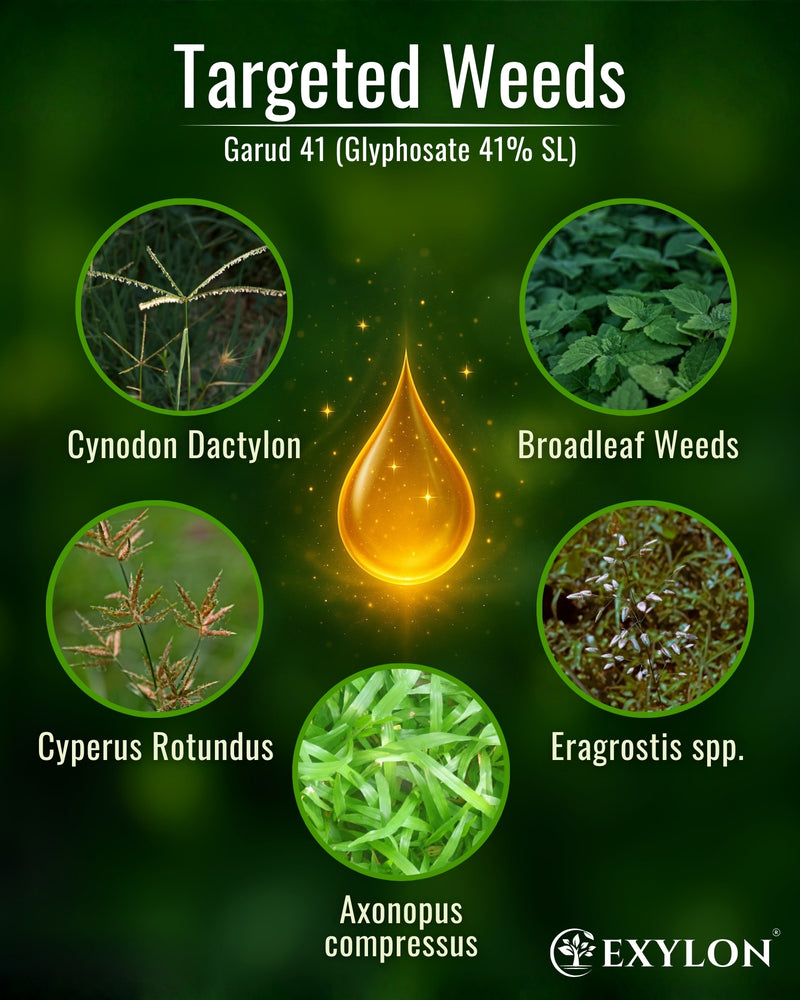 EXYLON GARUD 41 HERBICIDE - Exylon Pesticides