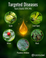 EXYLON SIGMA FUNGICIDE - Exylon Pesticides