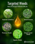 EXYLON BURST 24 HERBICIDE - Exylon Pesticides