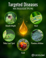 EXYLON HELIX FUNGICIDE - Exylon Pesticides