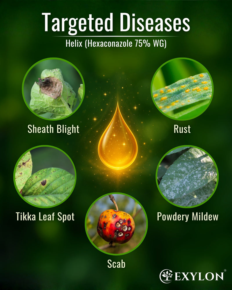 EXYLON HELIX FUNGICIDE - Exylon Pesticides