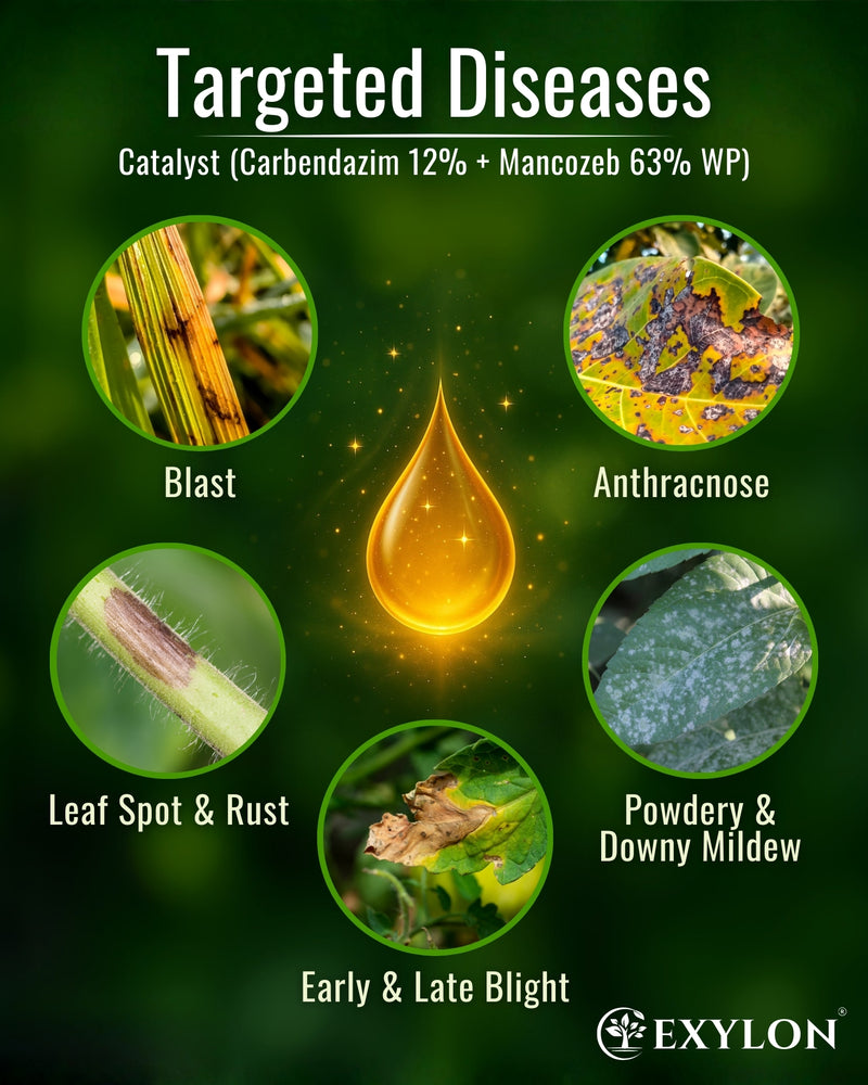 EXYLON CATALYST FUNGICIDE - Exylon Pesticides