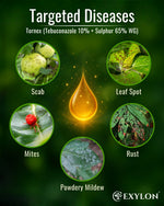 EXYLON TORNEX FUNGICIDE - Exylon Pesticides