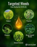 EXYLON ORION HERBICIDE - Exylon Pesticides