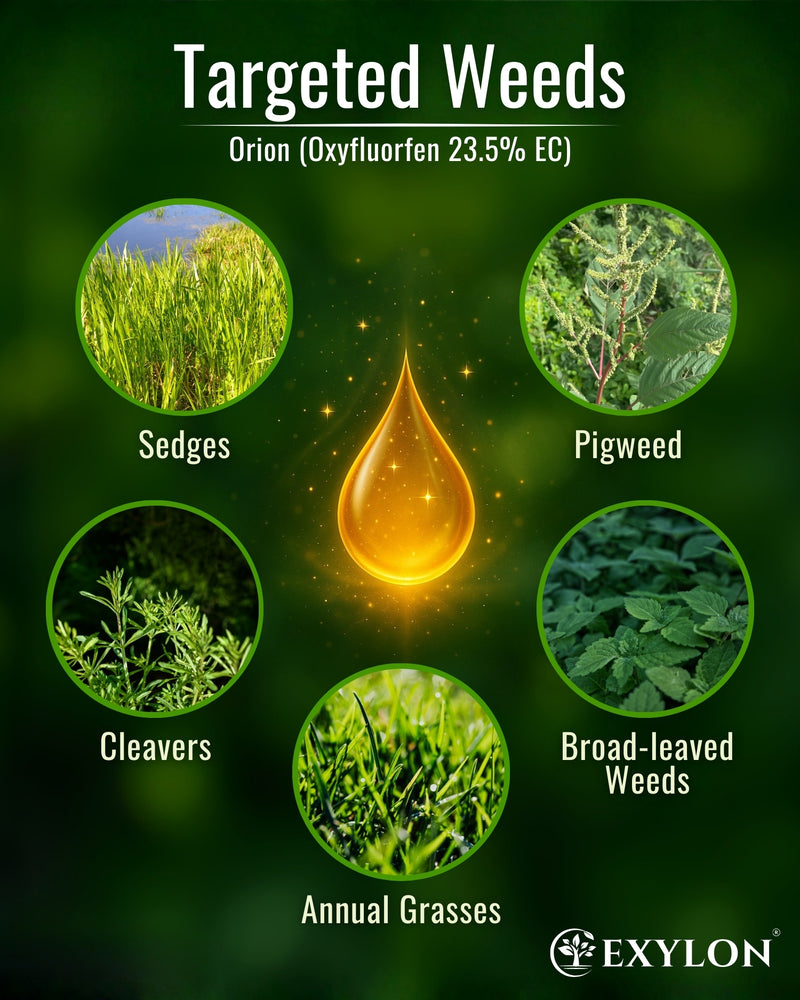 EXYLON ORION HERBICIDE - Exylon Pesticides