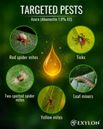 EXYLON AZURA INSECTICIDE - Exylon Pesticides