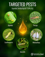 EXYLON EXYMIDA INSECTICIDE - Exylon Pesticides