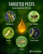 EXYLON DRONEX INSECTICIDE - Exylon Pesticides
