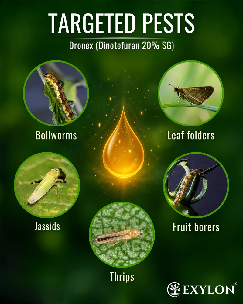 EXYLON DRONEX INSECTICIDE - Exylon Pesticides