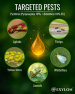 EXYLON PYRITHRIN INSECTICIDE - Exylon Pesticides