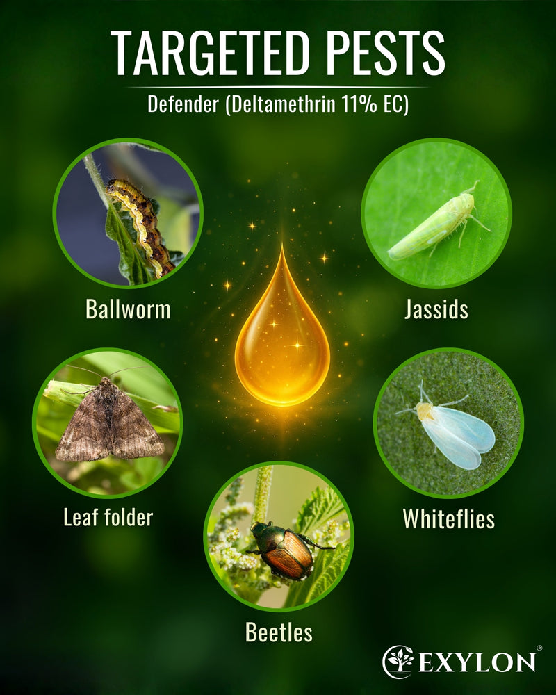 EXYLON DEFENDER INSECTICIDE - Exylon Pesticides