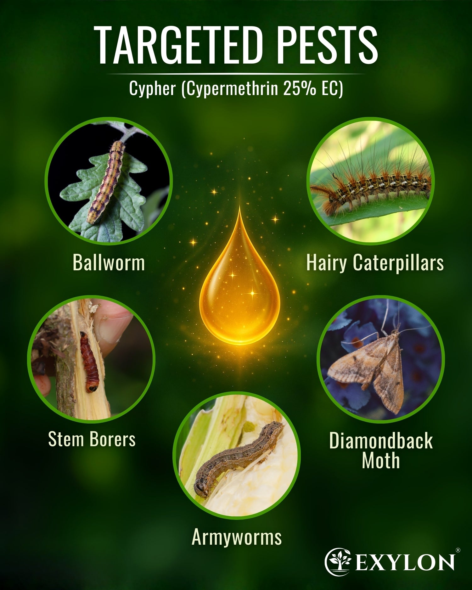 EXYLON CYPHER INSECTICIDE - Exylon Pesticides