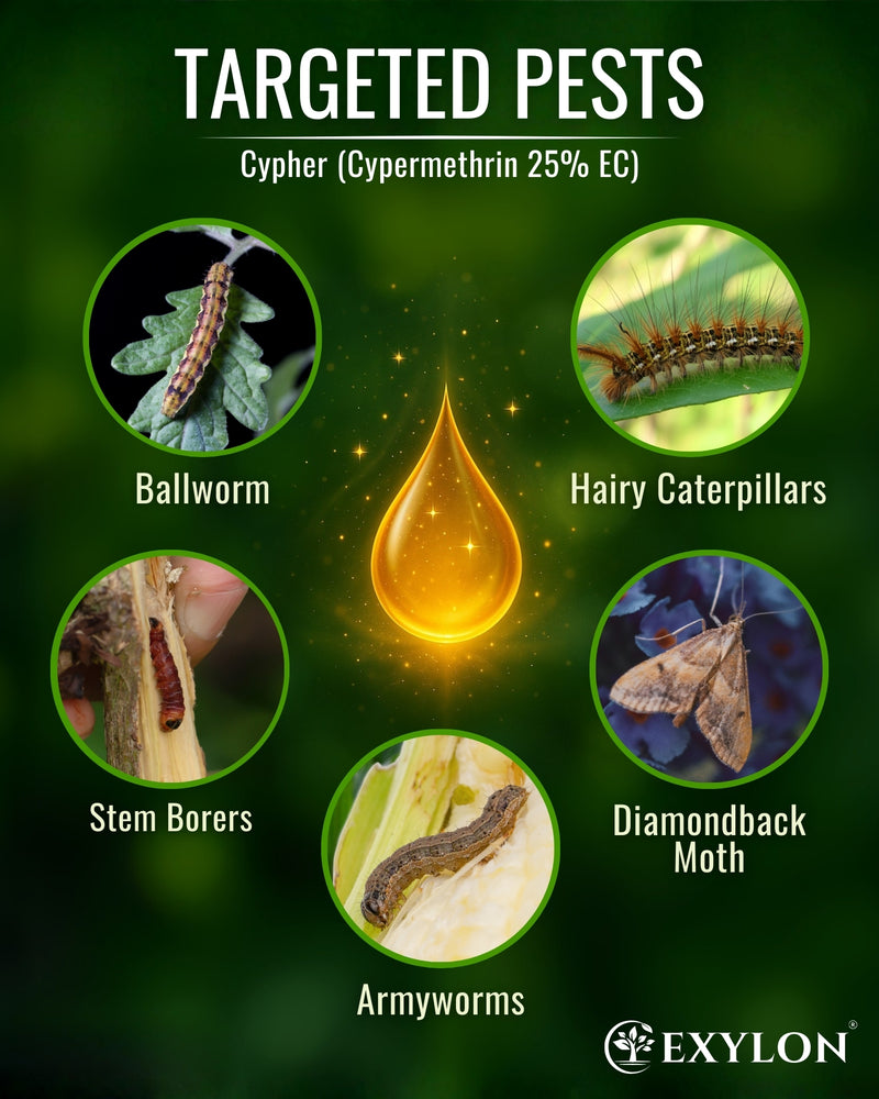 EXYLON CYPHER INSECTICIDE - Exylon Pesticides