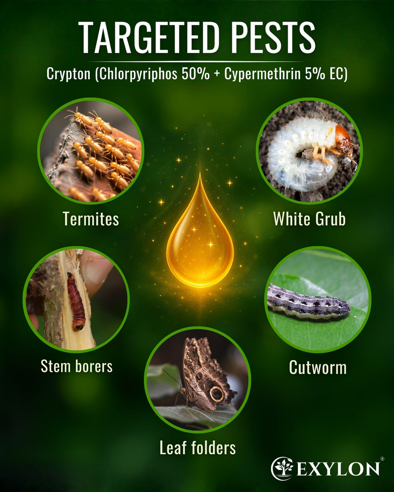 EXYLON CRYPTON INSECTICIDE - Exylon Pesticides
