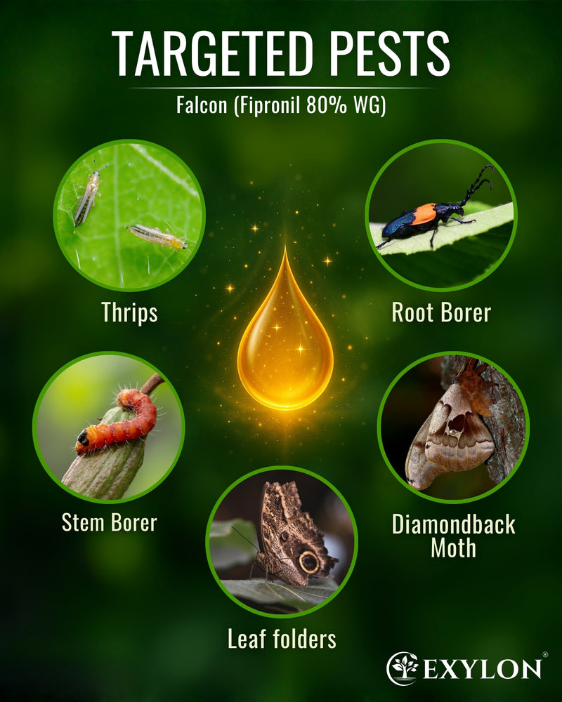 EXYLON FALCON INSECTICIDE - Exylon Pesticides