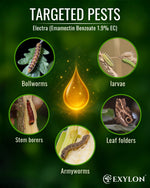 EXYLON ELECTRA INSECTICIDE - Exylon Pesticides