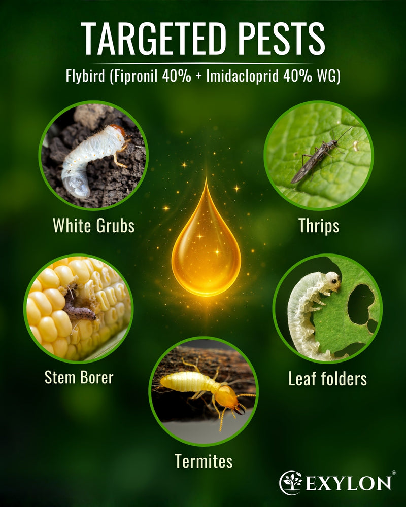 EXYLON FLYBIRD INSECTICIDE - Exylon Pesticides