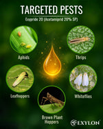 EXYLON EXYPRIDE 20 INSECTICIDE - Exylon Pesticides