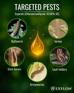 EXYLON EXYPROLE INSECTICIDE - Exylon Pesticides