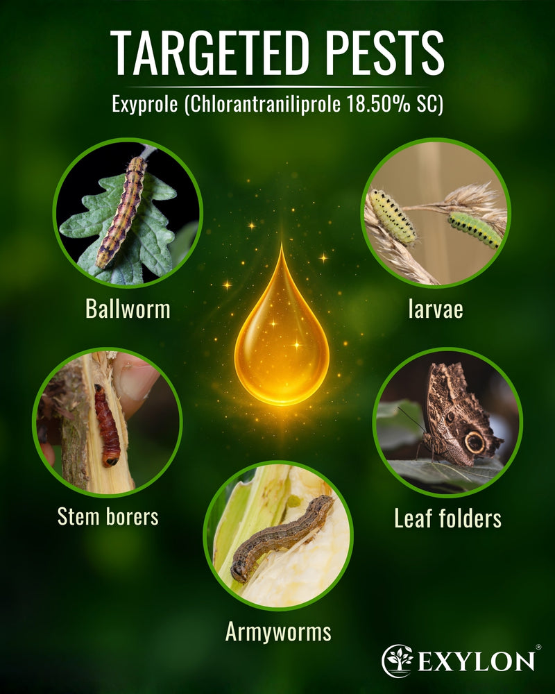 EXYLON EXYPROLE INSECTICIDE - Exylon Pesticides