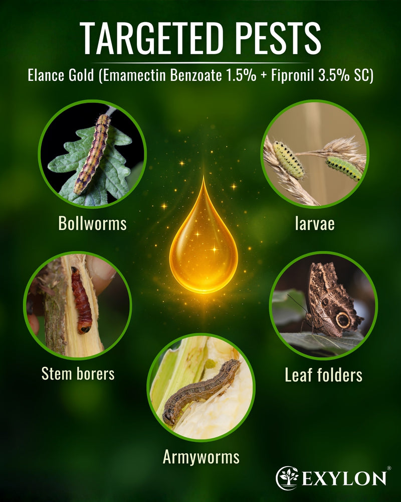 EXYLON ELANCE GOLD INSECTICIDE - Exylon Pesticides
