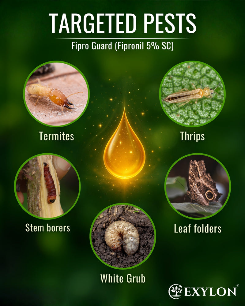 EXYLON FIPROGUARD INSECTICIDE - Exylon Pesticides