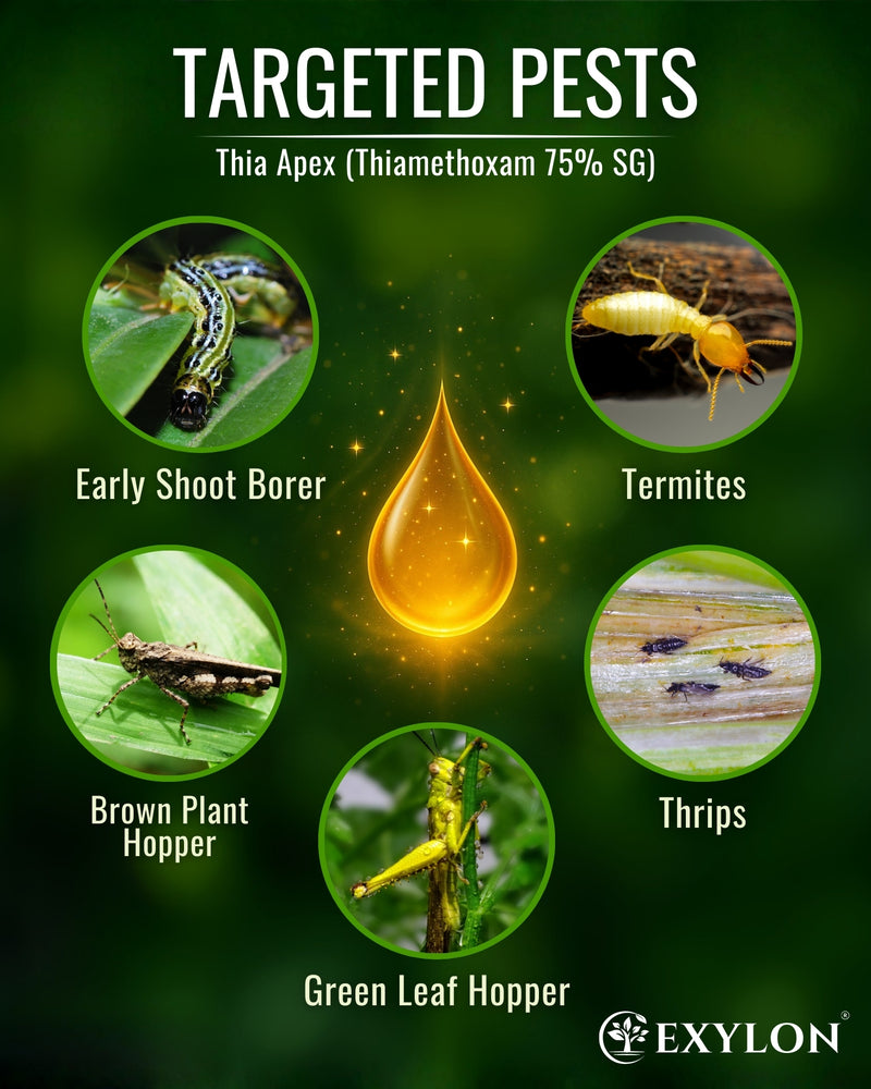 EXYLON THIA APEX INSECTICIDE - Exylon Pesticides