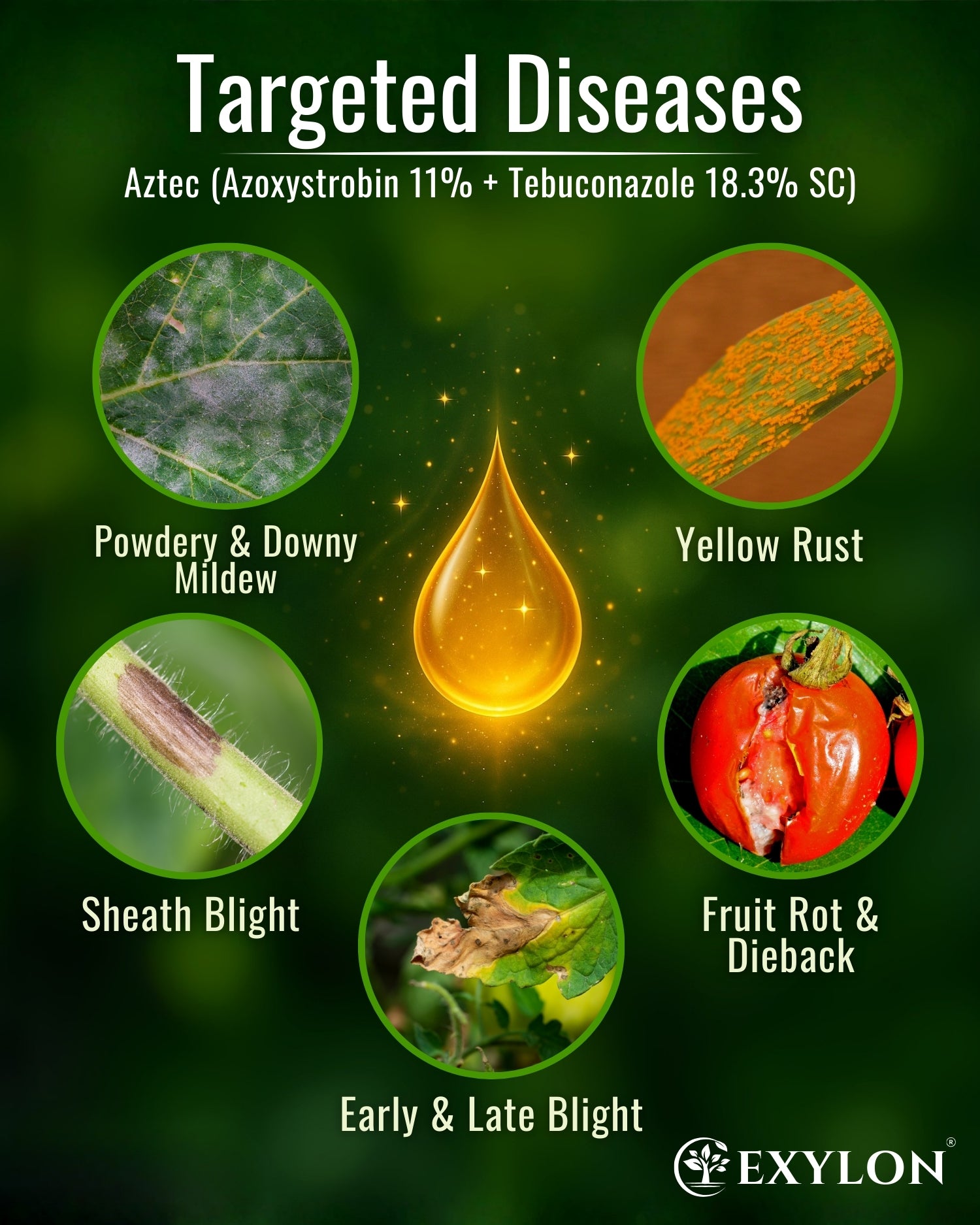 EXYLON AZTEC FUNGICIDE - Exylon Pesticides