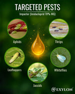 EXYLON IMPACTOR INSECTICIDE - Exylon Pesticides