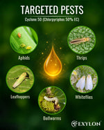 EXYLON CYCLONE 50 INSECTICIDE - Exylon Pesticides