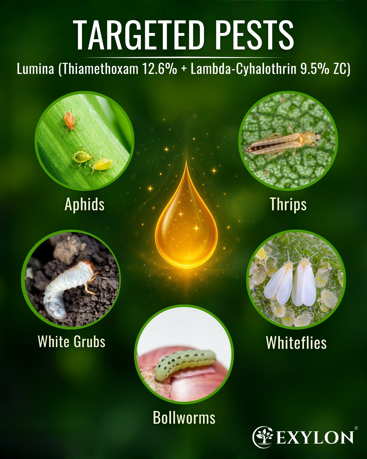 EXYLON LUMINA INSECTICIDE - Exylon Pesticides