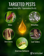 EXYLON ECLIPSE INSECTICIDE - Exylon Pesticides
