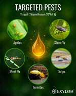 EXYLON THIAZOL INSECTICIDE - Exylon Pesticides