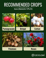 EXYLON AZURA INSECTICIDE - Exylon Pesticides