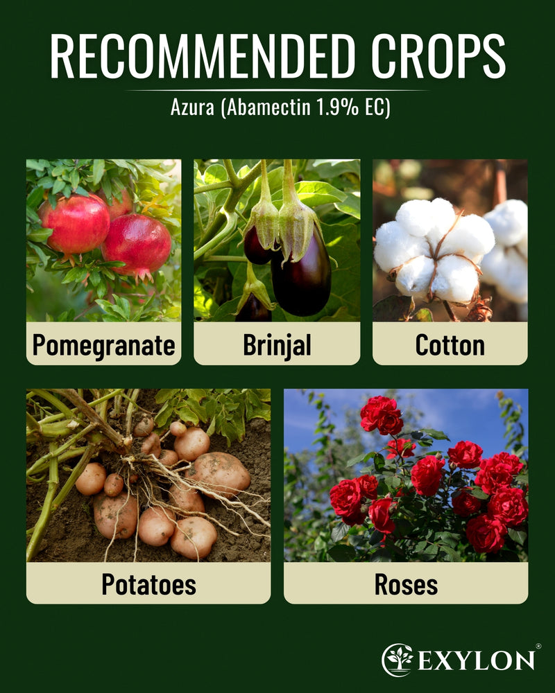 EXYLON AZURA INSECTICIDE - Exylon Pesticides