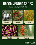 EXYLON EXYMAX INSECTICIDE - Exylon Pesticides