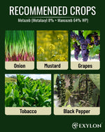 EXYLON METAZEB FUNGICIDE - Exylon Pesticides